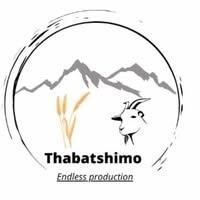 Thabatshimo Farm Website - Agricultural business website showcasing farm products and services